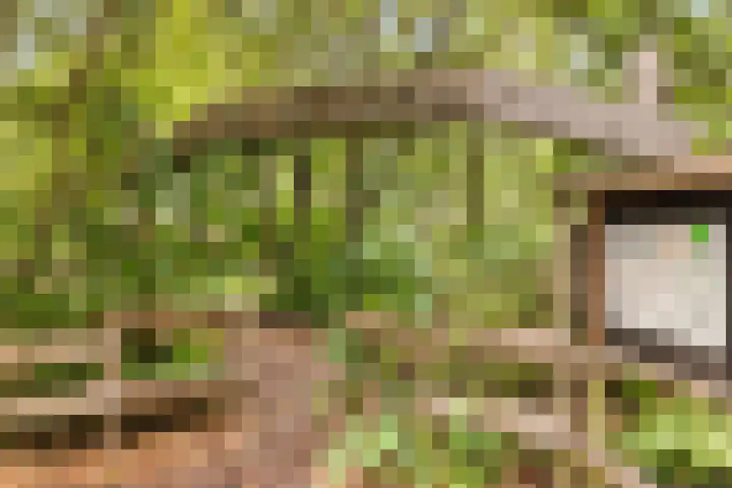 Spicastraat 3 Amsterdam thumbnail 32