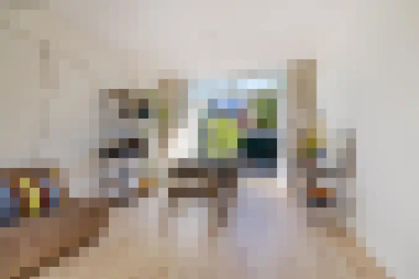 Spicastraat 35 Groningen thumbnail 4