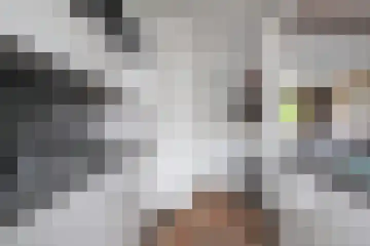 Spicastraat 43 Groningen thumbnail 12