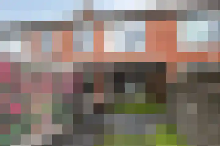 Spicastraat 43 Groningen thumbnail 23