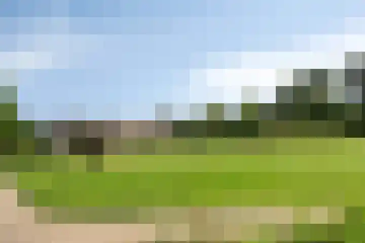 Spicastraat 43 Groningen thumbnail 24