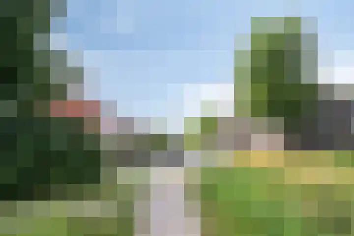 Spicastraat 43 Groningen thumbnail 25