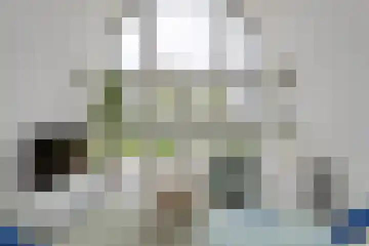 Spiegel 2 Meppel thumbnail 12
