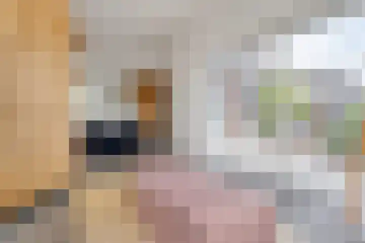 Spiegel 2 Meppel thumbnail 20