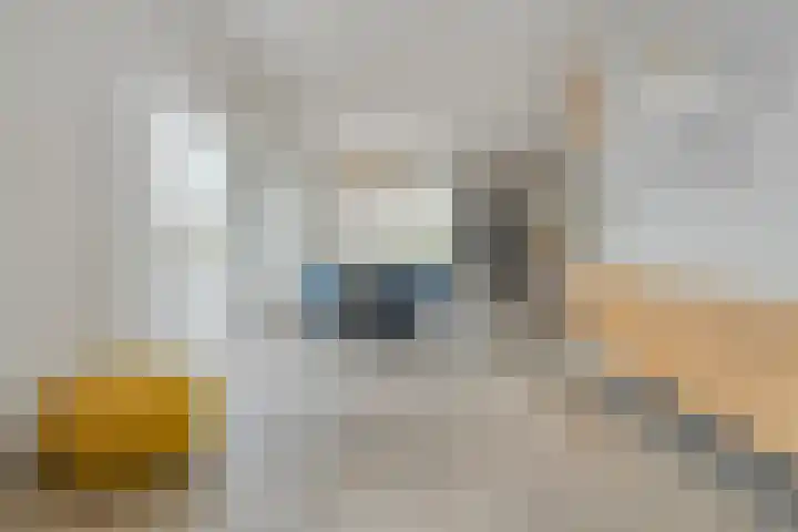 Spiegel 2 Meppel thumbnail 22