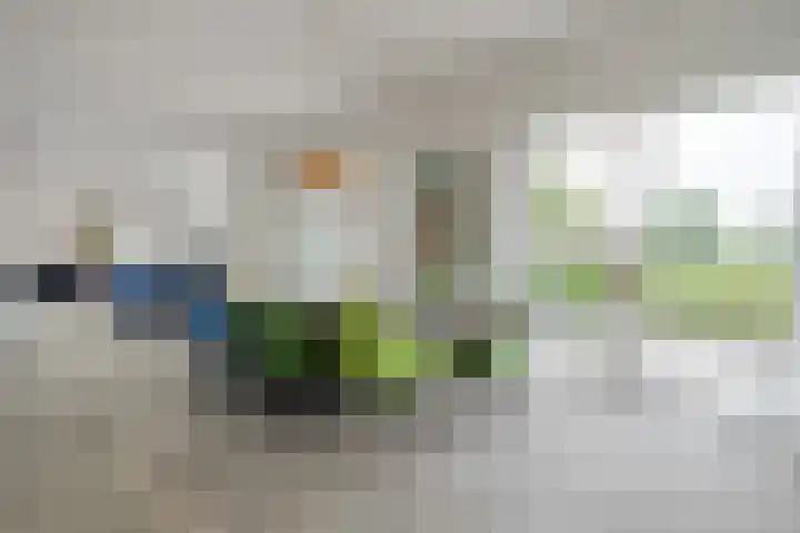 Spiegel 2 Meppel thumbnail 24