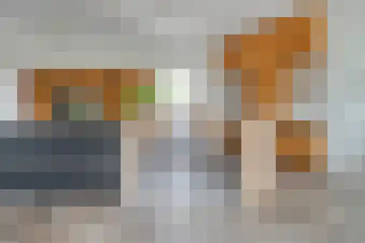 Spiegel 2 Meppel thumbnail 25