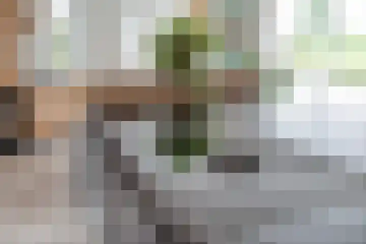 Spiegel 2 Meppel thumbnail 28