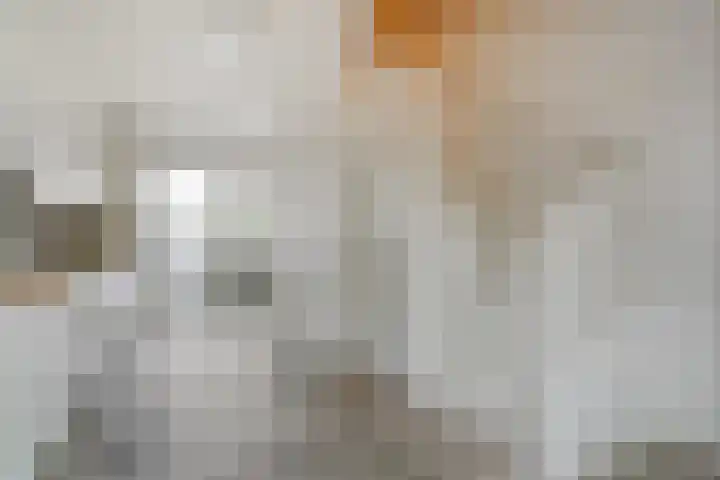 Spiegel 2 Meppel thumbnail 31