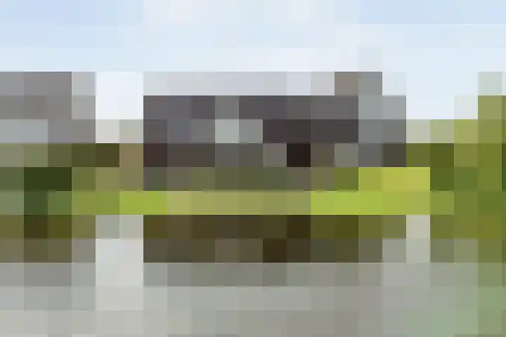 Spiegel 2 Meppel thumbnail 4