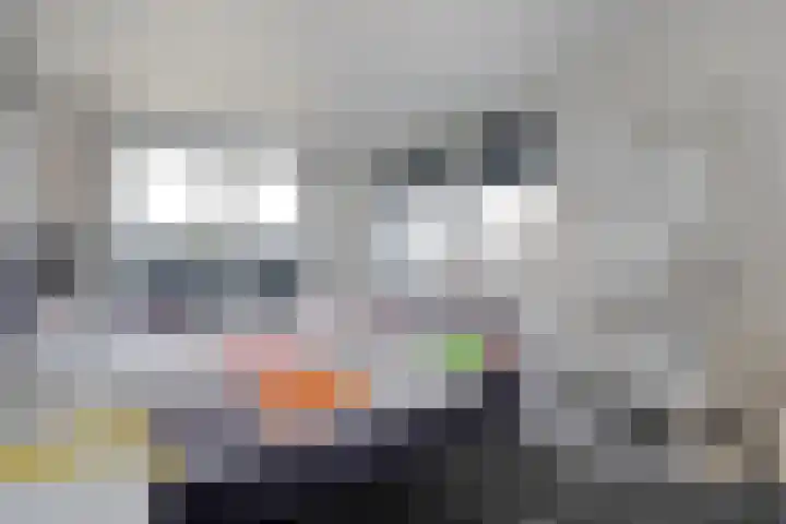 Spiegel 2 Meppel thumbnail 43