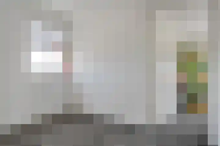Spiegel 2 Meppel thumbnail 54