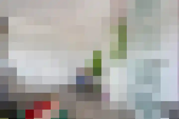 Spiegel 2 Meppel thumbnail 57