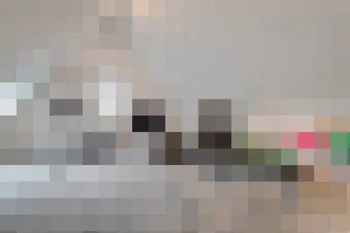 Spiegel 2 Meppel thumbnail 71