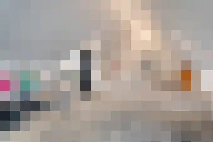 Spiegel 2 Meppel thumbnail 73