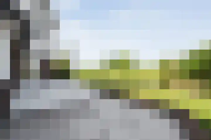 Spiegel 2 Meppel thumbnail 75