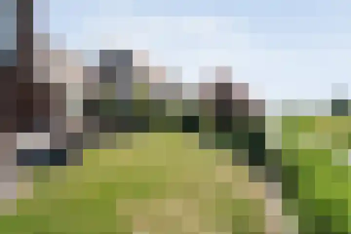 Spiegel 2 Meppel thumbnail 77