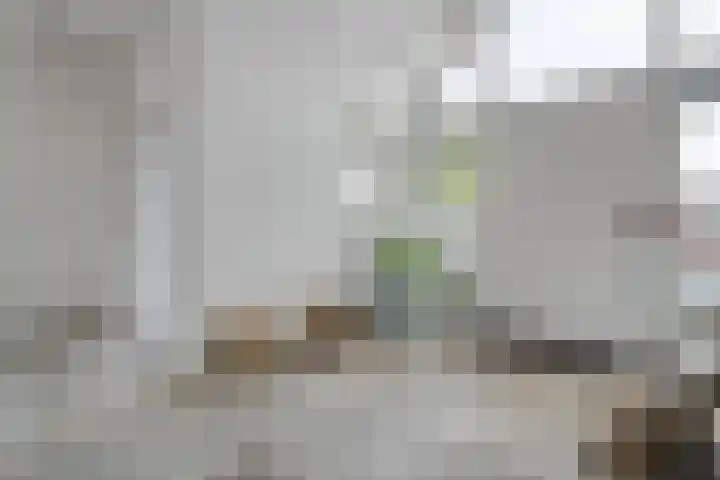 Spiegel 2 Meppel thumbnail 8