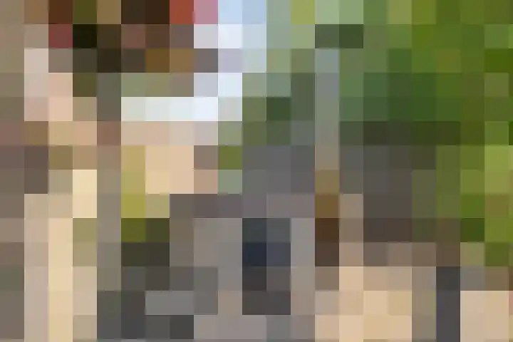 Spiegel 2 Meppel thumbnail 80
