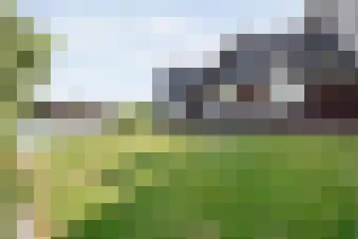 Spiegel 2 Meppel thumbnail 82