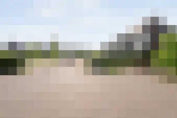 Spiegel 2 Meppel thumbnail 90