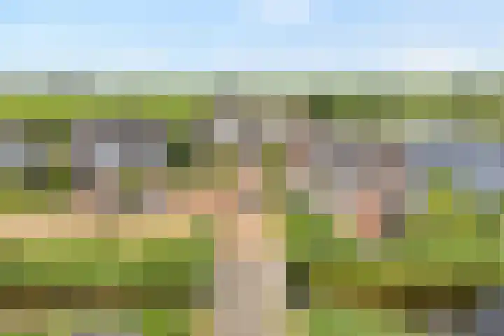 Spiegel 2 Meppel thumbnail 94