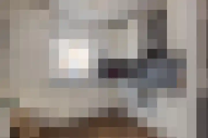Spiegelberg 3 Noordwijkerhout thumbnail 11