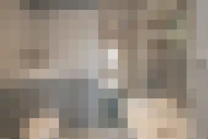 Spiegelberg 3 Noordwijkerhout thumbnail 21