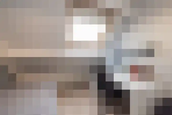 Spiegelberg 3 Noordwijkerhout thumbnail 24
