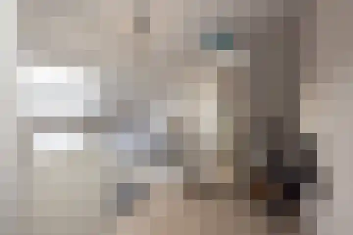 Spiegelberg 3 Noordwijkerhout thumbnail 26