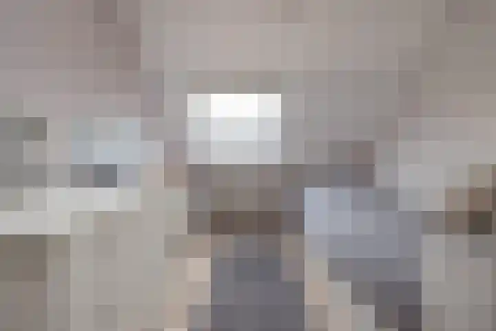 Spiegelberg 3 Noordwijkerhout thumbnail 27