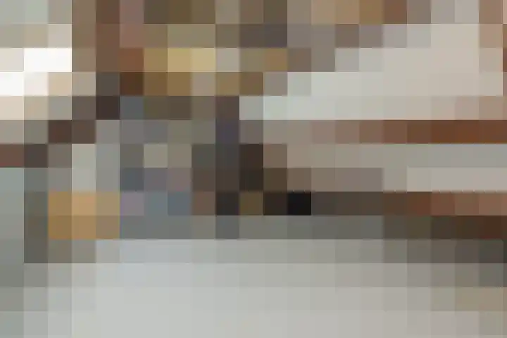 Spiegelberg 3 Noordwijkerhout thumbnail 29
