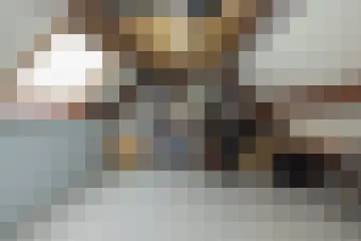 Spiegelberg 3 Noordwijkerhout thumbnail 30