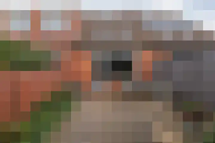Spiegelberg 3 Noordwijkerhout thumbnail 36