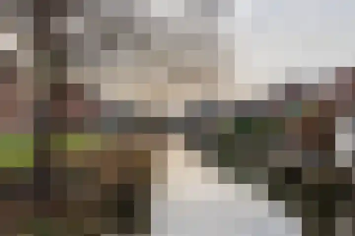 Spiegelberg 3 Noordwijkerhout thumbnail 38