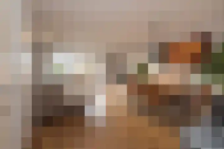 Spiegelberg 3 Noordwijkerhout thumbnail 5