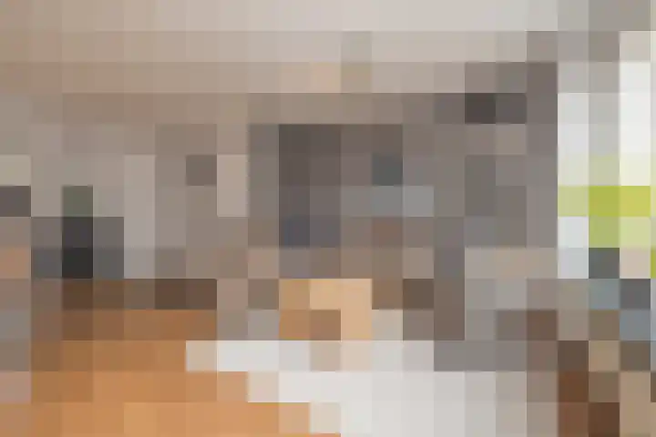 Spiegelberg 3 Noordwijkerhout thumbnail 8
