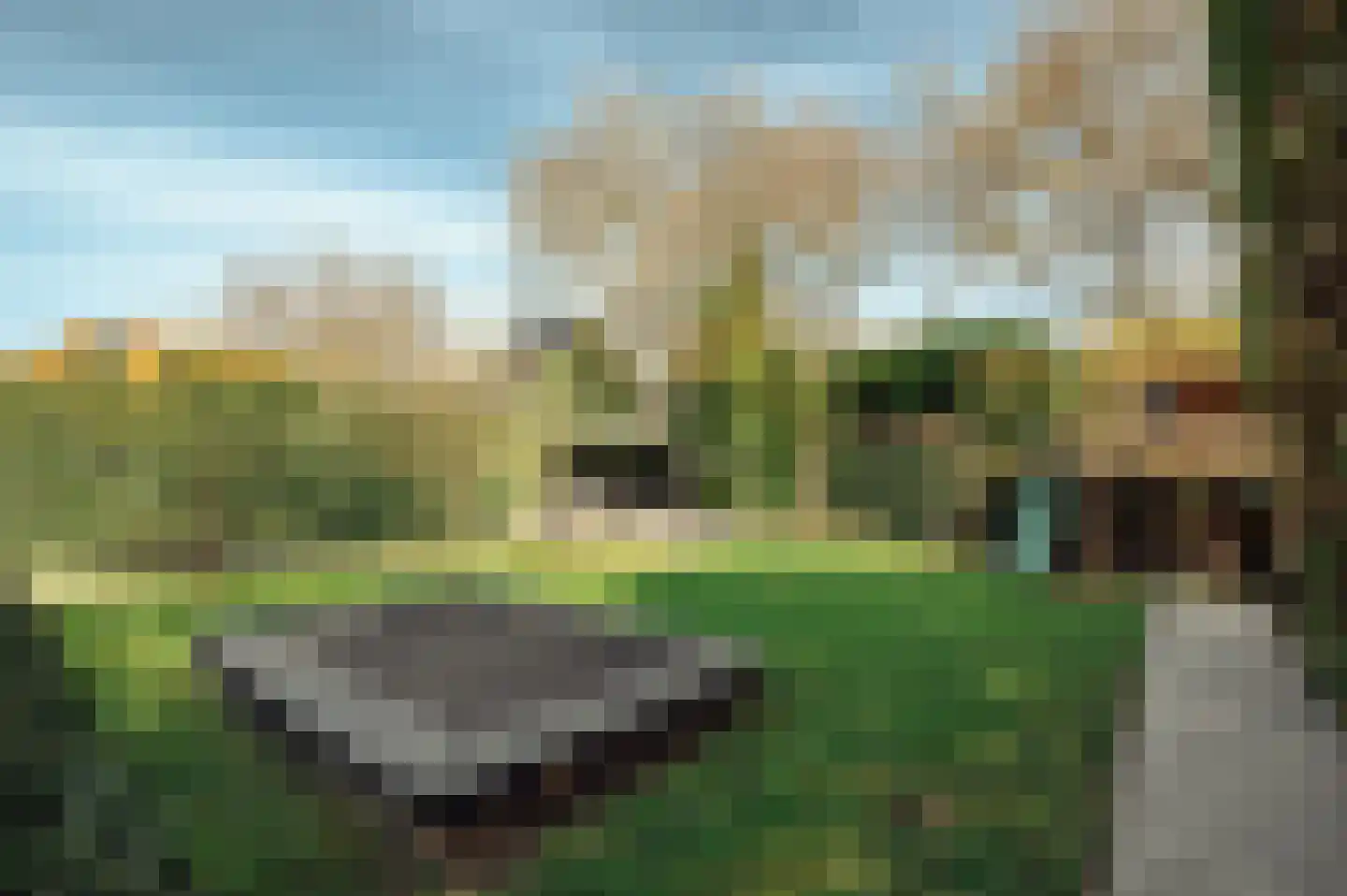 Spiegelenburghlaan 41 Aerdenhout thumbnail 31