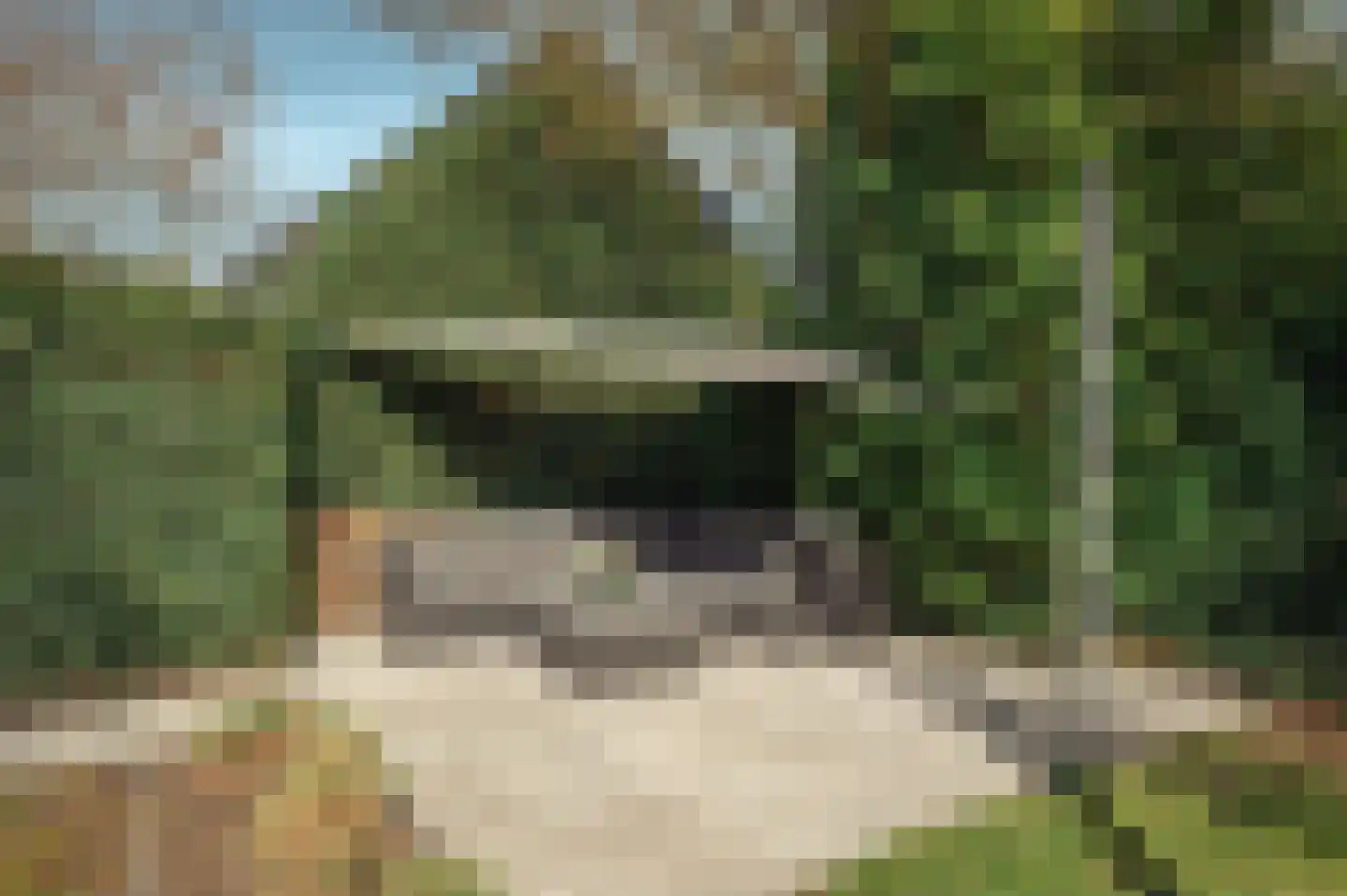 Spiegelenburghlaan 41 Aerdenhout thumbnail 34