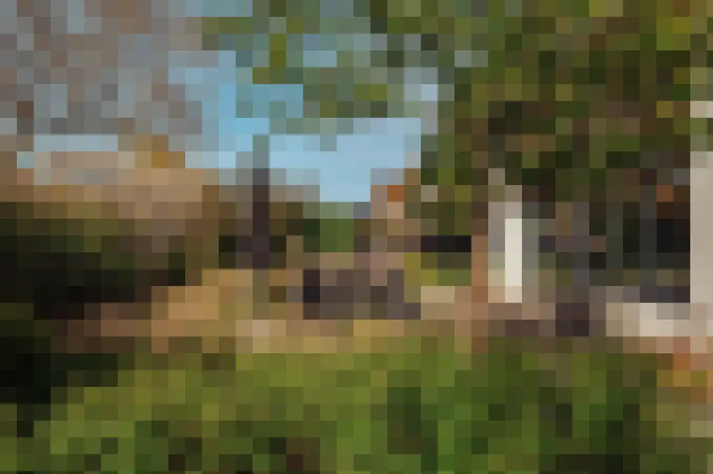 Spiegelenburghlaan 41 Aerdenhout thumbnail 37