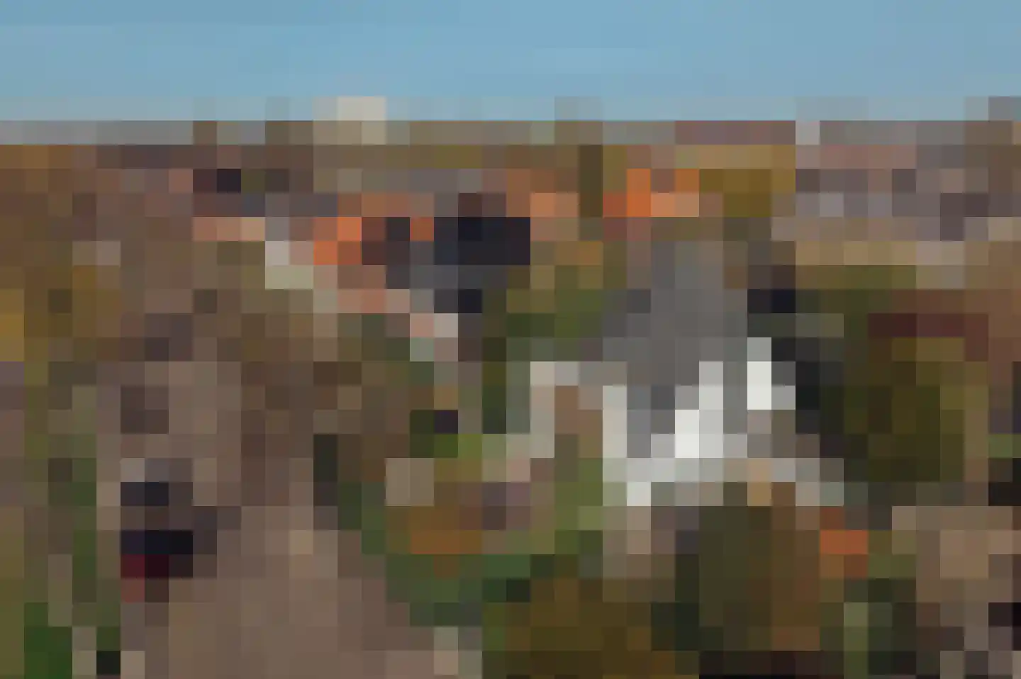 Spiegelenburghlaan 41 Aerdenhout thumbnail 61