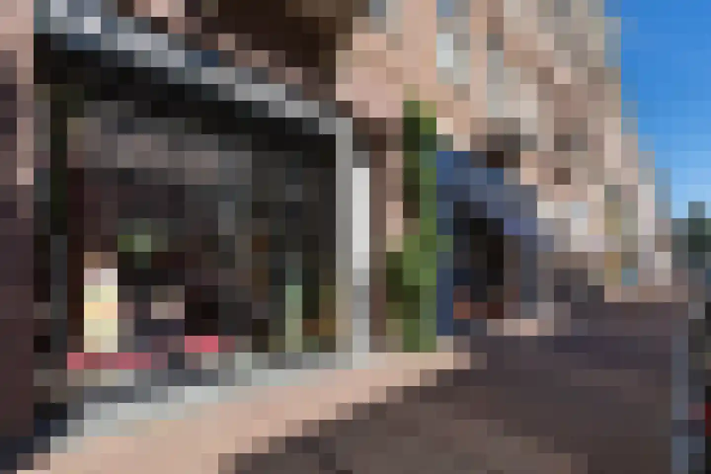 Spiegelgracht 38 Amsterdam thumbnail 46