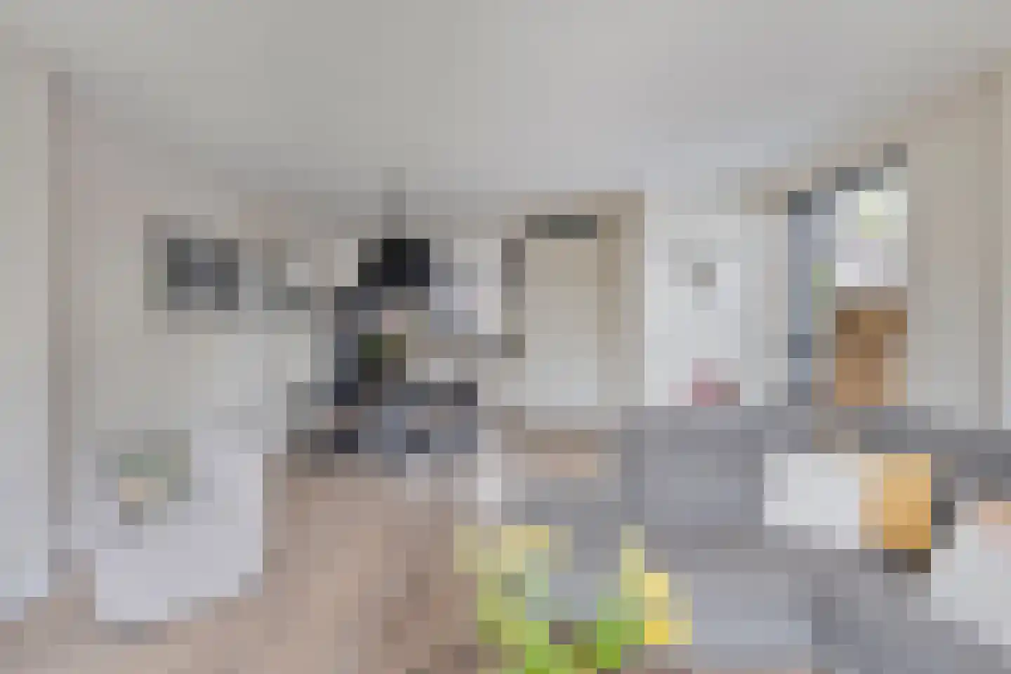 Spiegelkever 16 Son en Breugel thumbnail 16