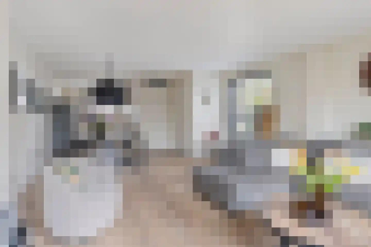 Spiegelkever 16 Son en Breugel thumbnail 17
