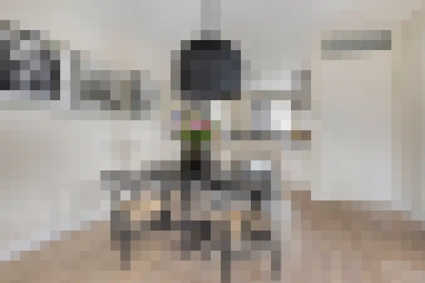 Spiegelkever 16 Son en Breugel thumbnail 18