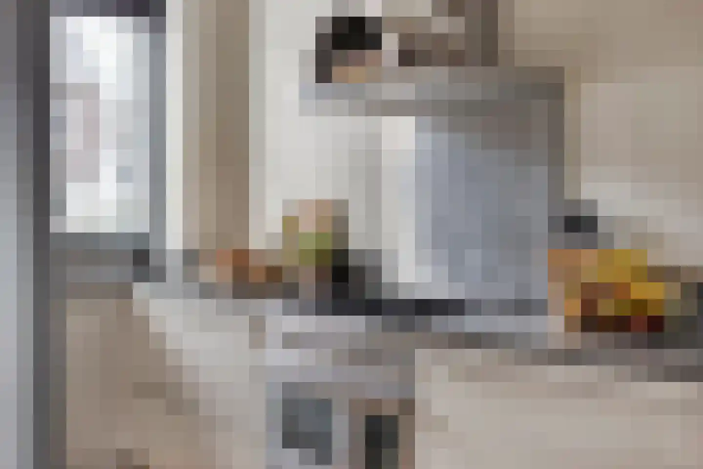 Spiegelkever 16 Son en Breugel thumbnail 21