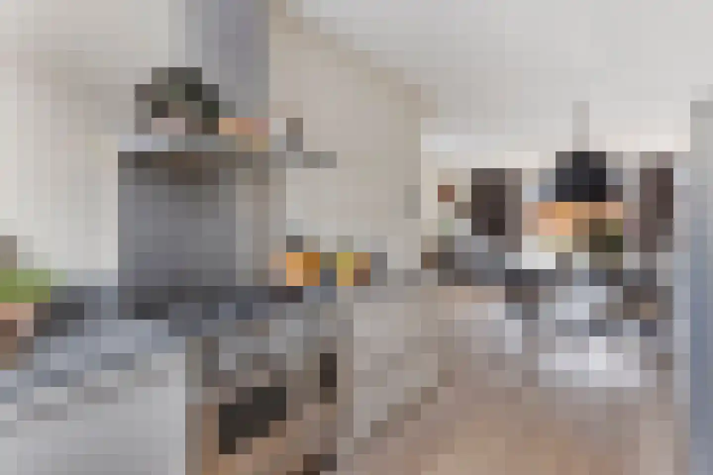 Spiegelkever 16 Son en Breugel thumbnail 22