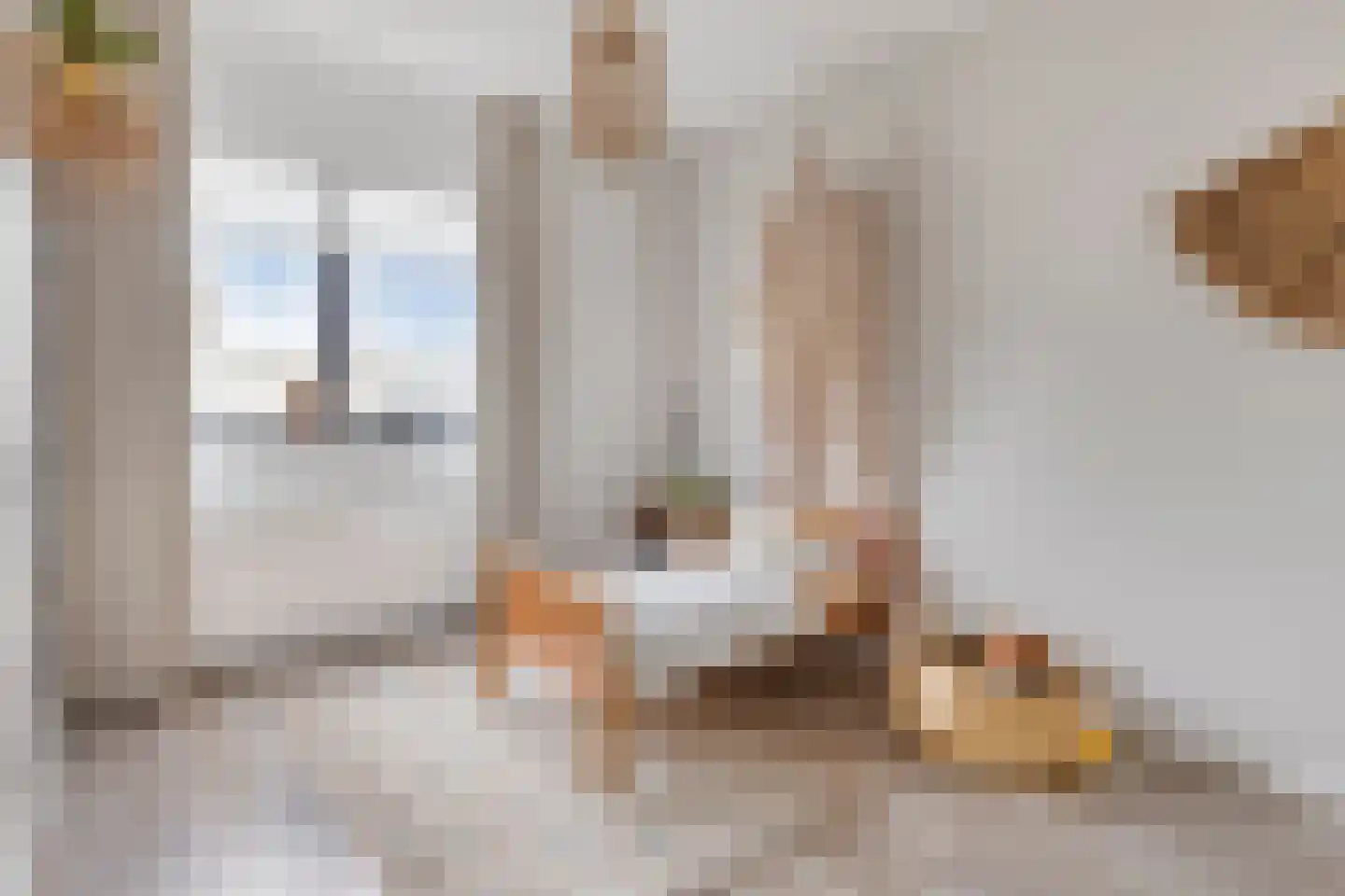 Spiegelkever 16 Son en Breugel thumbnail 27