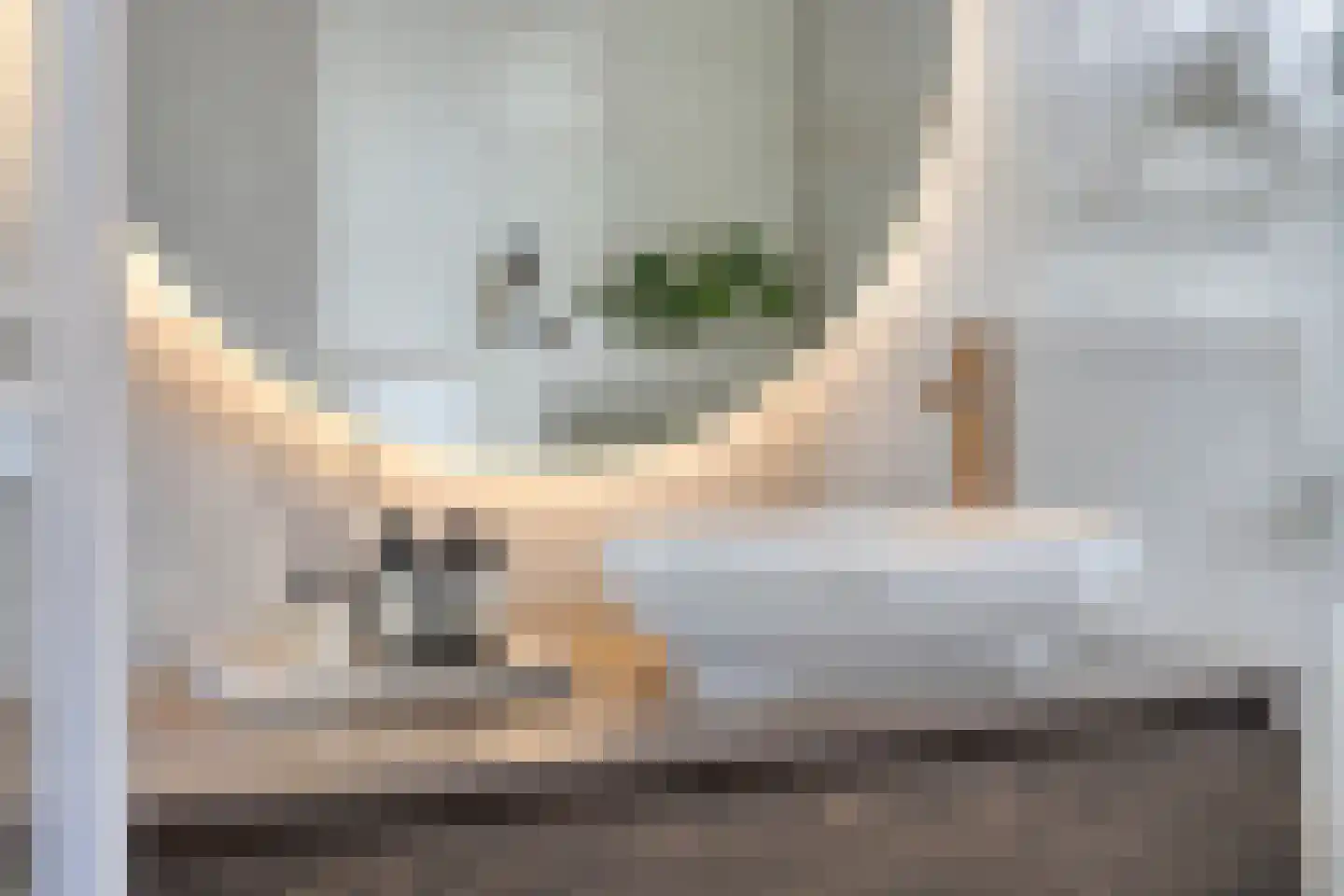 Spiegelkever 16 Son en Breugel thumbnail 31