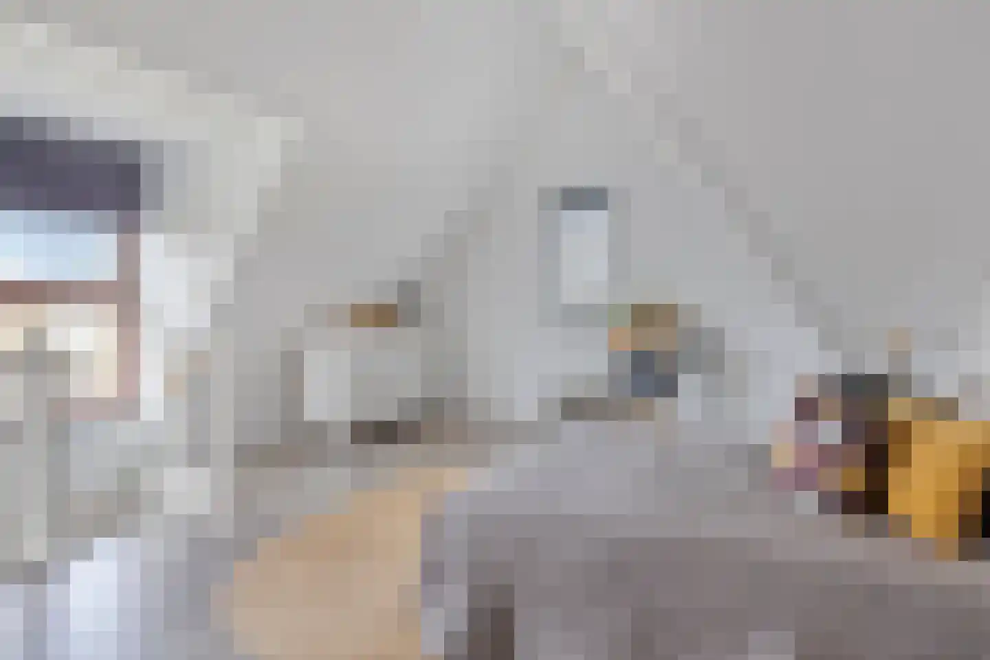 Spiegelkever 16 Son en Breugel thumbnail 35